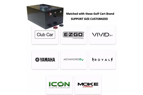 BMS와 60ah 100ah 200ah Lifepo4 골프 카트 건전지 팩 48V 딥 사이클